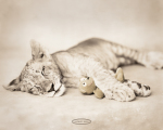 Rachael Hale art print