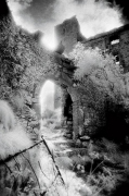 Simon Marsden art print