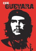 Maxi Posters art print