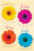 Maxi Posters art print