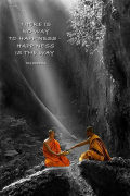 Maxi Posters art print