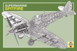 Haynes art print
