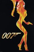 Maxi Posters art print
