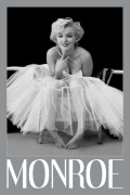 Maxi Posters art print