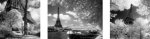 David Noton art print
