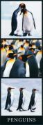 Anonymous art print