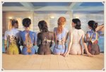 Celebrity Image art print