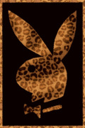 Maxi Posters art print