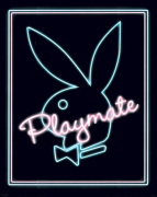 Mini Posters art print