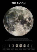Maxi Posters art print