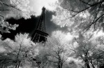 Maxi Posters art print