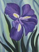 Blue Iris giclee art print