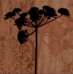 Diane Moore art print