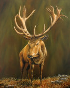 Dmitry Guskov art print