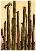 Robert Littleford art print