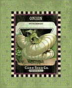 Onion Seed Pack giclee art print