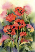Rachel McNaughton art print
