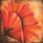 Valerie Delmas art print