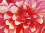 Mary Stubberfield art print