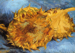 Two Cut Sunflowers art print