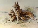 Herbert Thomas Dicksee art print