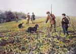 Heywood Hardy art print