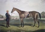 Charles Hunt & Son art print