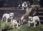 Arthur Wardle art print