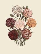 Anonymous art print