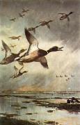 Archibald Thorburn art print