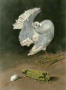 William Hamilton art print