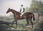 Sidney R. Wombill art print