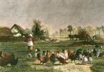 Troyon art print