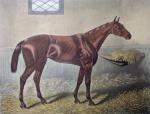 Walter Hunt art print
