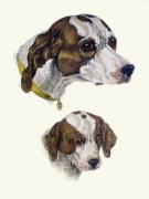 Sir Edwin Henry  Landseer art print