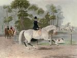 Francis Calcraft Turner art print