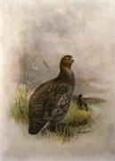 Charles Whymper art print