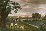 Robert Havell art print