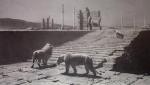 Briton Riviere art print