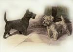 Harry Dixon art print