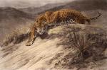 Herbert Thomas Dicksee art print