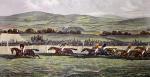 Sturgess art print