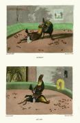 Henry Alken art print