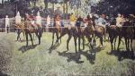 Byam Shaw art print