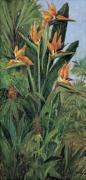 J.  Ripoll art print