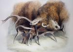 Sir Edwin Henry  Landseer art print