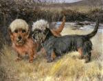 Arthur Wardle art print