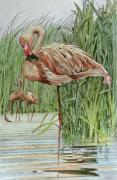 Joanna Willard art print