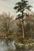 Walter Boodle art print