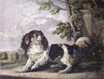 George Hughes art print